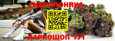 амф Краснознаменск