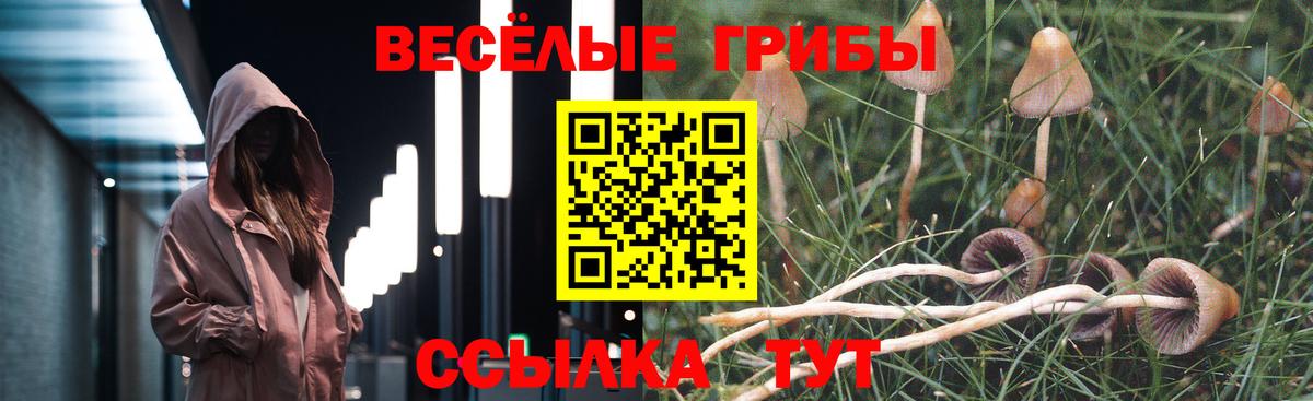 Галлюциногенные грибы прущие грибы Казань
